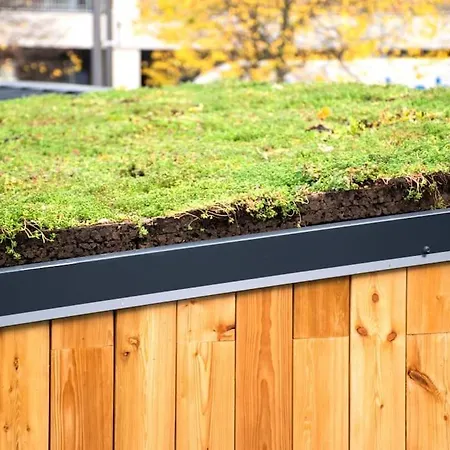 Tiny House Rotterdam