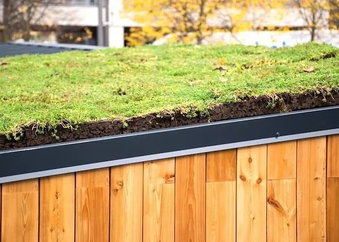 Tiny House Rotterdam